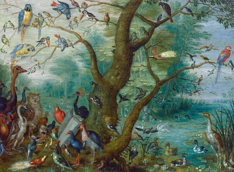 Jan Van Kessel Concert van Vogels Germany oil painting art